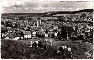 RPPC - Pontarlier, France - Les Paturoges et la Ville - Sheep grazing above City