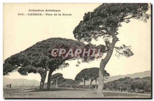 Old Postcard Pins Cannes la Bocca