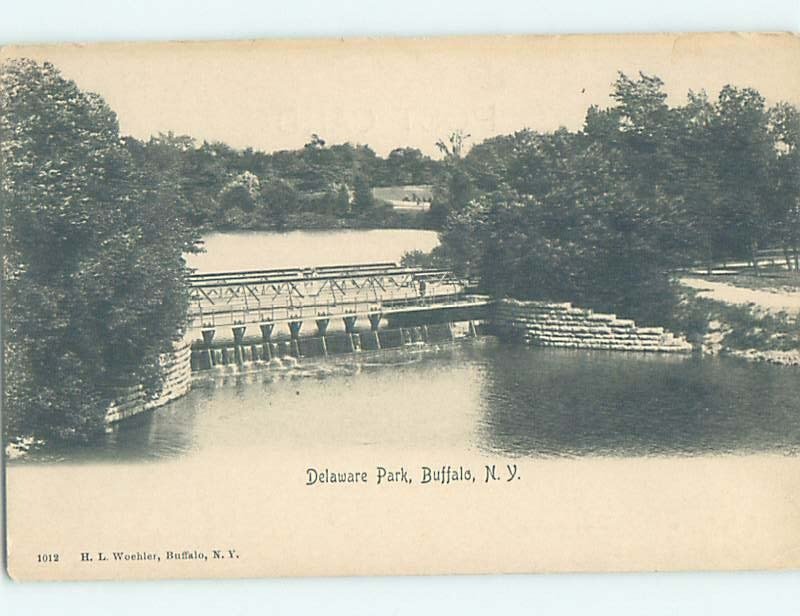 Pre-1907 PARK SCENE Buffalo New York NY H4159