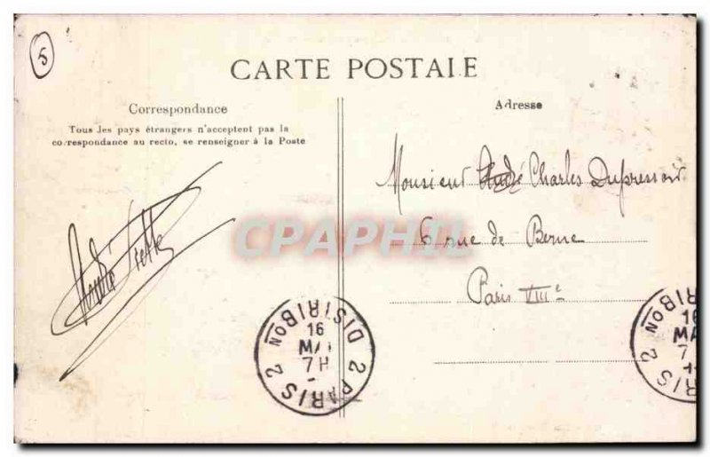 Old Postcard landscape Algeria and kind Camel Camel