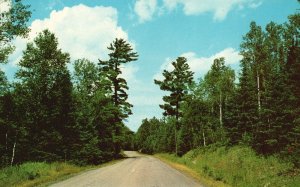 Postcard Sentinel Pines Overlooking A Lonely Road Vacationland Scene The L.L.C.