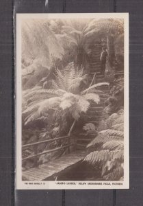 VICTORIA, SHERBROOKE FALLS, JACOB'S LADDER, c1930 Rose ppc., unused.