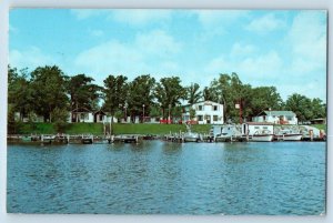 Baudette Minnesota Postcard Adrian's Resort Walleyes Rainy River c1978 Vintage