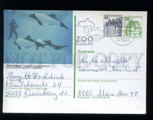 210698 GERMANY Duisburg #4100 ZOO DIVER & Dolphins postal card