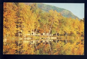 Brandon, Vermont/VT Postcard, Lake Dunmore, Autumn Scene Of Houses Along Shore