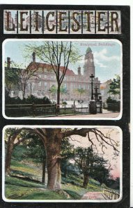 Leicestershire Postcard - Minicipal Buildings and Bradgate Park - Ref 15633A