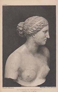 Statue Of Aphrodite Of Cnidos Profile Head View Sculpture Old Antique Postcard