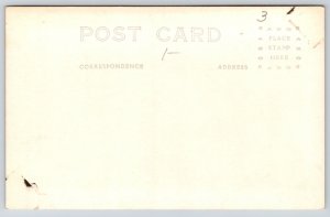 RPPC~Elizabeth Illinois~Bent Tree On Country Road Scene~Forest~1940s Postcard