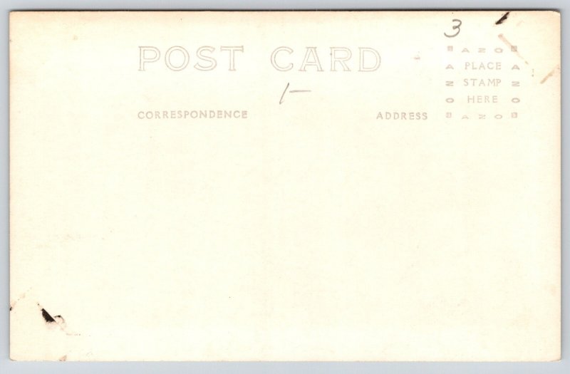 RPPC~Elizabeth Illinois~Bent Tree On Country Road Scene~Forest~1940s Postcard