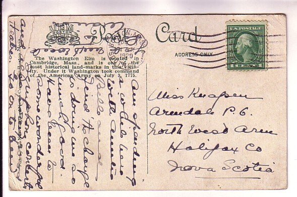 Washington Elm Cambridge, Massachusetts, Used 1920