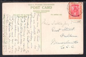 Greetings From Jamaica,Bearing Cocoa Tree