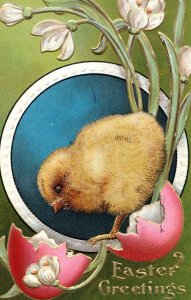 C. 1910 Baby Chick Chicken Colored Egg Lily Easter Adorable Vintage Postcard P98