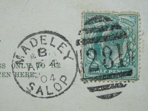 Shropshire MADELEY Numeral Cancellation No.281 c1904 PC Wicklow Vartry Bridge