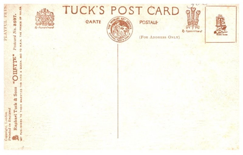 Dog ,  playing with wood toy dog