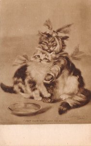 Artist Van Vredenburg Cat 