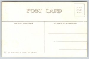 Cincinnati Ohio~Public Library St View~Shoes Store~Sign~USA Flag~c1910 Postcard