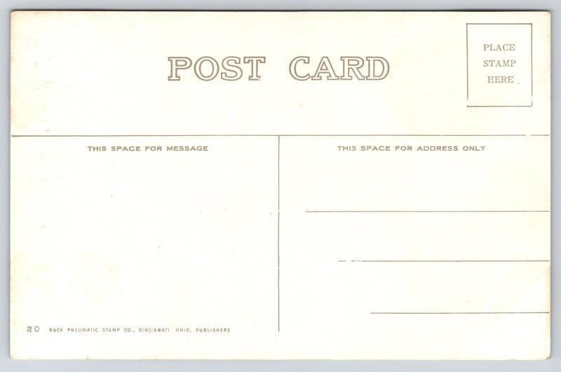 Cincinnati Ohio~Public Library St View~Shoes Store~Sign~USA Flag~c1910 Postcard