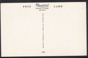 Maps Postcard - Map of South Devon and The English Channel   DR393 