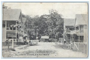 1910 Waterbury Avenue Walnut Beach Milford Connecticut CT Unposted Tree Postcard