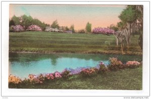 CHARLESTON, South Carolina, 1900-1910's; Middleton Place Gardens, The Terraces