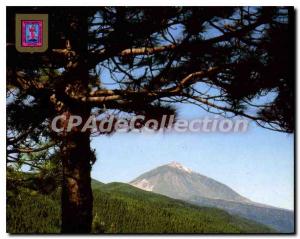 Postcard Modern Tenerife Mirador De Ortuno