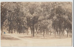 1920 BROOKFIELD Missouri MO Real Photo RPPC Postcard CITY PARK Trees