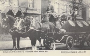 Birmingham Transport Brewers Dray Aston 1951 Transport Postcard