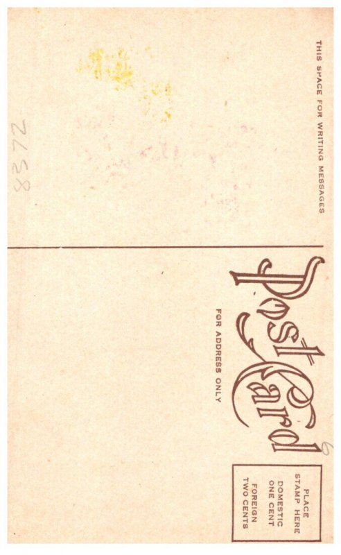 Woman,   Beautiful, Hugh Hat