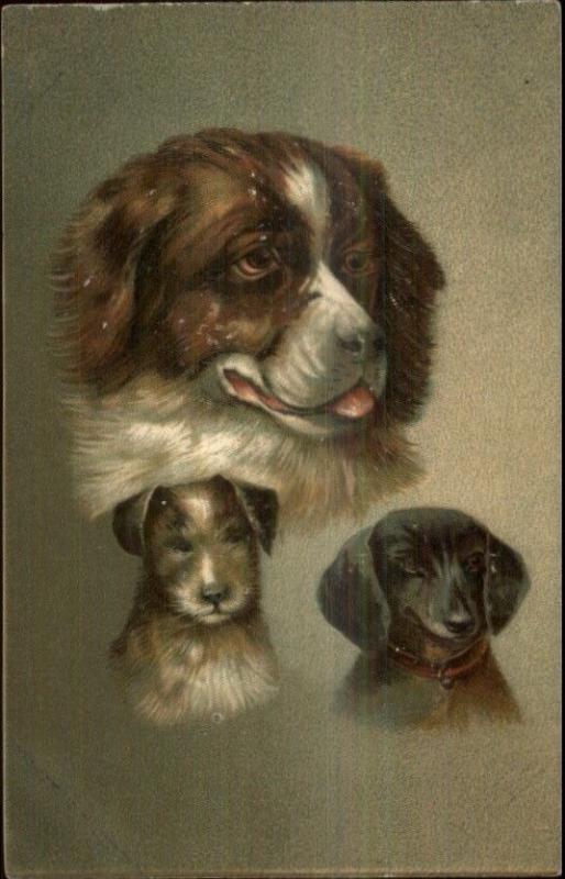 Beautiful Dogs - Embossed - Multiple Breeds c1910 Postcard