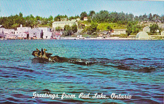 Canada Greetings From Red Lake Ontario