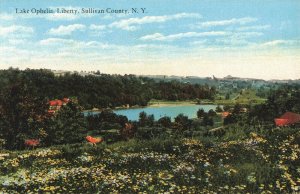 Lake Ophelia, Liberty, Sullivan County, N.Y. Vintage Postcard 2t3-362