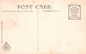 Postcard Looking Elm Park River Bridge in Worcester Massachusetts MA Nature