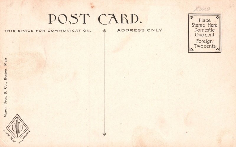 Postcard Looking Elm Park River Bridge in Worcester Massachusetts MA Nature