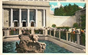 Vintage Postcard 1920's Steinhart Aquarium Golden Gate Park San Francisco Calif.