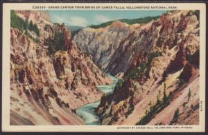 Grand Canyon From Lower Falls,Yellowstone Postcard