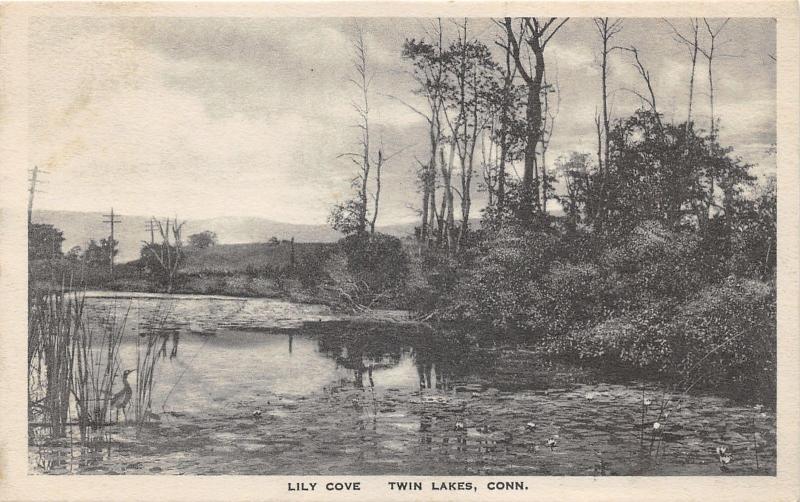 Twin Lakes Conneticut~Lily Cove~1920s B&W Albertype Postcard