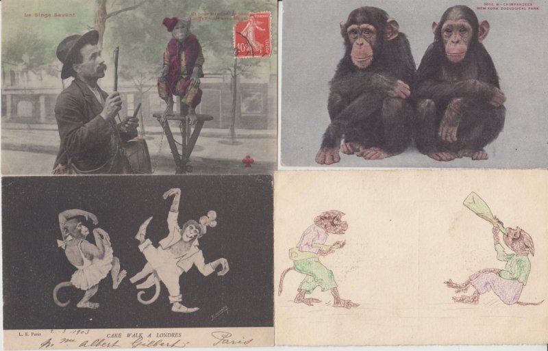 MONKEYS SINGES 79 Vintage Postcards Mostly pre-1940 with BETTER (L6027)