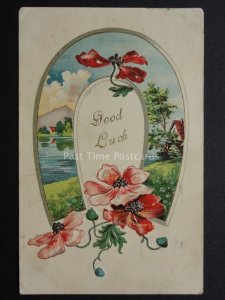 Embossed Poppies Postcard GOOD LUCK Horseshoe c1907