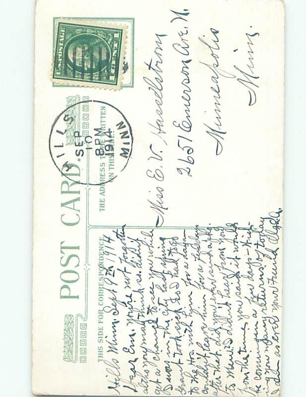 Divided-Back BEAUTIFUL FLOWERS SCENE Great Postcard AA3389