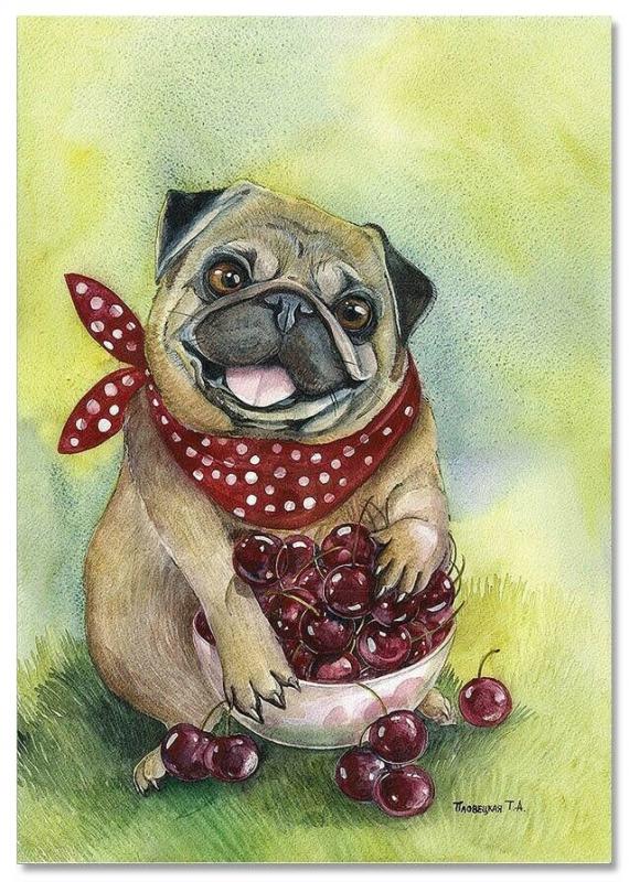 Pug dog with cherries Comic Humor by Plovetskaya Russian MODERN Postcard