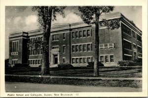 Vtg Sussex New Brunswick Public School and Colliegiate Canada Postcard