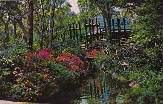 California La Canada Descanso Gardens 1986