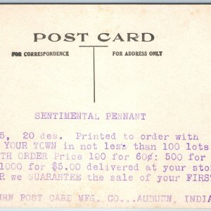 c1910s RARE Pennant Salesman Sample Postcard Auburn Mfg Co Advertising Flag A217