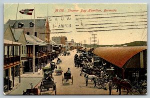 1908  Hamilton  Bermuda  Steamer Day  Horse and Buggy  Postcard