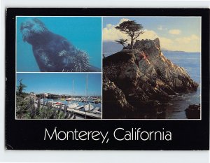 Postcard Views & Attractions in Monterey California USA