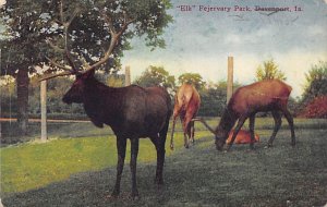 Elk-Fajervary Park Davenport, Iowa  