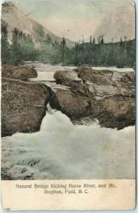 c1910s Field, B.C. Natural Bridge - Kicking Horse River Postcard Waterfall CA A2