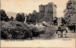 c1910 KILLARNEY IRELAND ROSS CASTLE HORSE DRAWN WAGON LITHOGRAPH POSTCARD 34-252