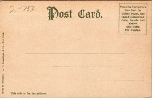 Vtg Thousand Islands NY Residence of George Pullmann Castle Rest 1905 Postcard