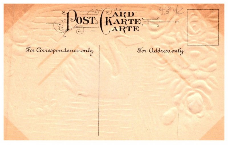 Birthday ,  Swan under bride , envelope  , pink flowers ,  embossed